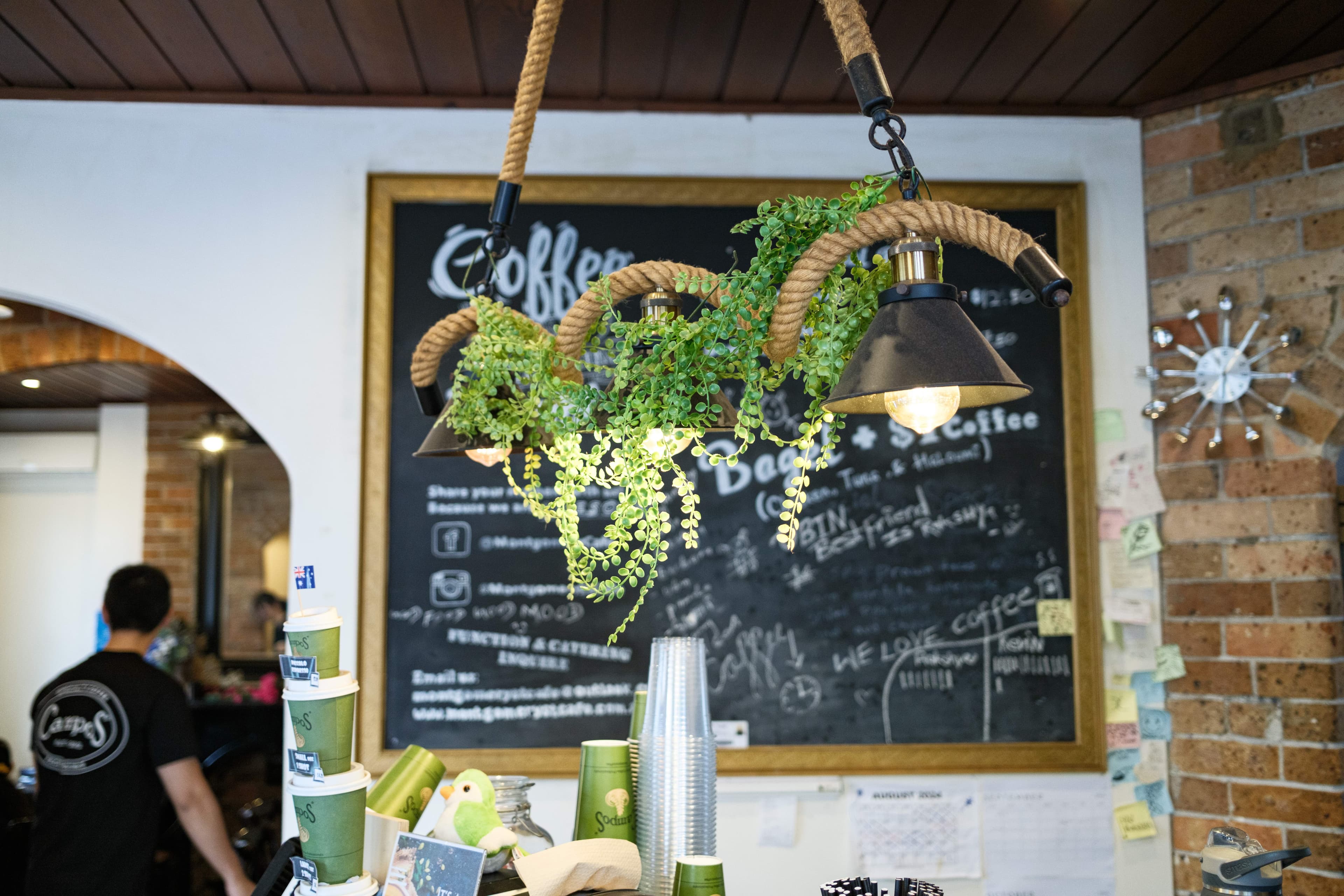 A hanging rope-pendant light wrapped with trailing plants in front of a black chalkboard menu inside Montgomery Street Cafe.
